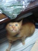 袋の上から